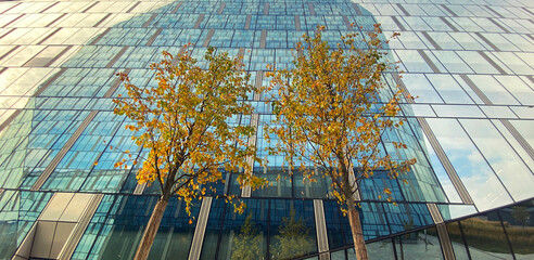 Office building. Glass skyscrapers in business center. Architecture, commercial real estate