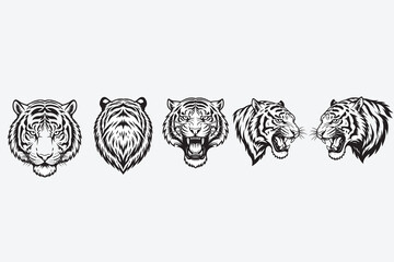Fierce tiger portraits row five majestic feline faces detailed line art wildlife art © Romana_Sultana_Lipi