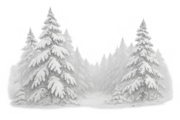 Winter forest scene with pine trees covered in snow, experiencing a blizzard and snowstorm on transparent background