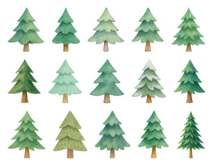 Obraz premium PNG Watercolor evergreen tree illustrations, element set on transparent background