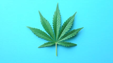 Super skunk marijuana bud on blue background