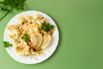 Warm comforting plate of traditional dumplings with fried onions
