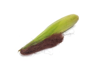 Fresh unhulled corn isolated on white background 