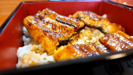 Grilled Eel Rice Bowl – Traditional Japanese Unadon in Ozu, Ehime