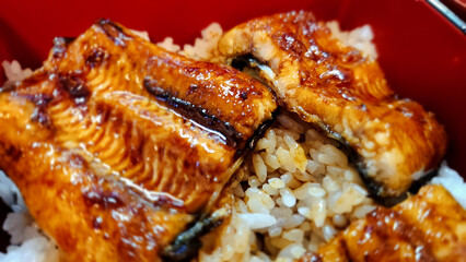 Grilled Eel Rice Bowl – Traditional Japanese Unadon in Ozu, Ehime