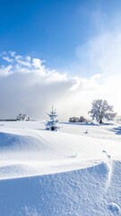 A beautiful winter landscape with a small fir tree covered in fresh snow under a bright blue sky.