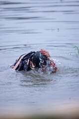  Chhath Puja, Portrait of unidentified hindu female devotee performing rituals of chhath with standing in river to worship lord sun during sunset.