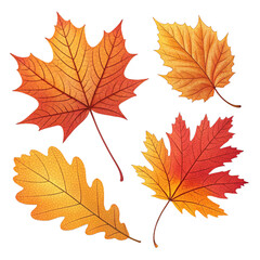Autumn Leaves Collection Isolated on White Background | Fall Season Maple and Oak Leaf Set