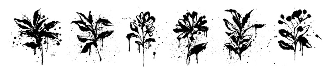 Ink flower stain illustration, abstract hand drawn plant art, floral splash graphic grunge print set. Black contemporary minimalist freehand art organic doodle brushstroke decor. Ink flower paint icon © Oleksandra