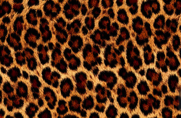 Animal print, leopard, wool texture, fluffy bright background, rich real jaguar skin pattern, modern fabric print