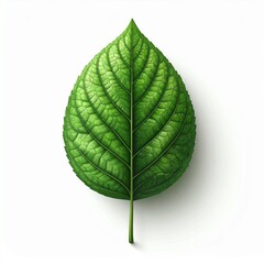 A vibrant green leaf with intricate veins and detailed texture, symbolizing nature's purity and new life, isolated on a white background