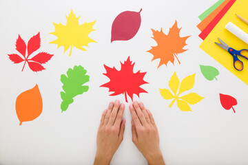 Young adult woman hands and different leaves on light gray table background. Creating colorful leaves from application paper. Closeup. Making autumn decoration. Point of view shot. Top down view.