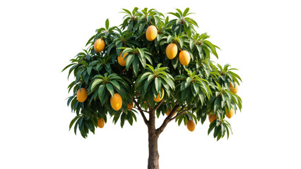 Vibrant orange tree with lush green leaves and ripe oranges hanging from its branches creates refreshing and inviting scene