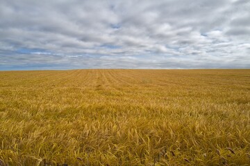 경관 자연 들판 시골 계절