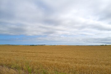 Obraz premium 경관 자연 들판 시골 계절