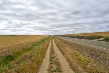 경관 자연 들판 시골 계절