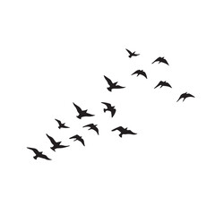 Flock of birds in flight a captivating black silhouette image