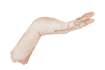 Watercolor illustration of a female hand isolated