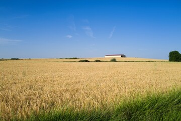 경관 자연 들판 시골 계절