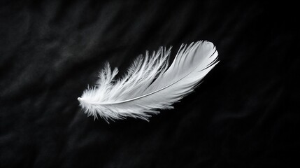 Delicate white feather on black background, symbolizing funeral and remembrance, symbolic advertising, awareness campaigns, funeral announcements, obituary visuals, service website branding