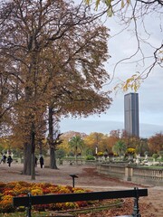 View of Montparnasse tower from Luxembourg garden in Paris, France  