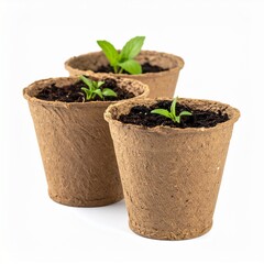 Seedlings Growing in Biodegradable Pots Concept of New Life and Sustainable Gardening on White Background.