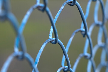 a fragment of a blue metal mesh fence