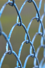 a fragment of a blue metal mesh fence
