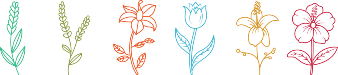 Multicolor Hand Drawn Flower Collection