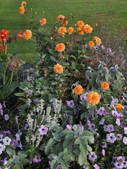 Colourful autumn flowers in the Luxembourg garden of Paris, France