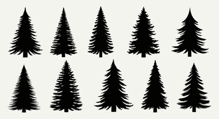 A collection of ten black silhouette illustrations of various evergreen trees.