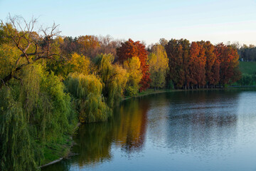 autumn in the forest,  Tineretului Park, Bucharest City, Romania 