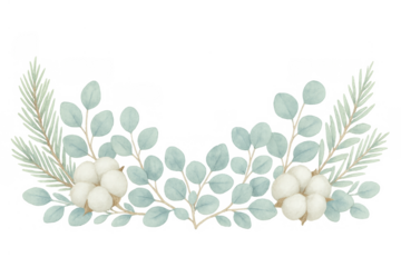 Winter botanical wreath arc with watercolor cotton, eucalyptus, and pine sprigs on transparent background