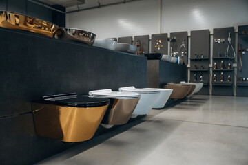 Modern Display of Designer Sinks and Toilets in a Bathroom Showroom