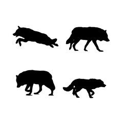 wolf vector art template