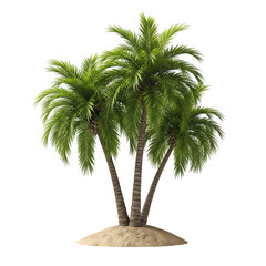 A cluster of lush green palm trees, with textured brown trunks stands on a small sandy mound, isolated on white or transparent background. PNG
