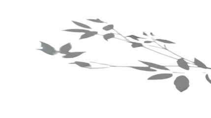 Elegant silver foliage design for sophisticated invitations and stationery perfect for minimalist and modern aesthetics