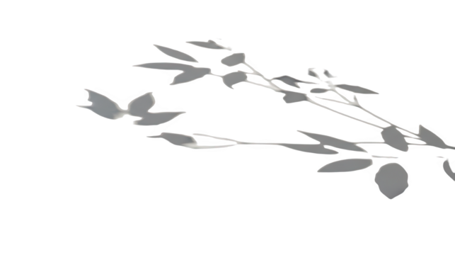 Elegant silver foliage design for sophisticated invitations and stationery perfect for minimalist and modern aesthetics