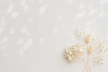 ドライフラワーと木漏れ日の背景素材