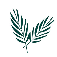 Obraz premium laurel wreath vector illustration, hand drawn flower , vector green palm leaves, tropical trees, flower pots, tree leaves, illustration, isolate , palm branches