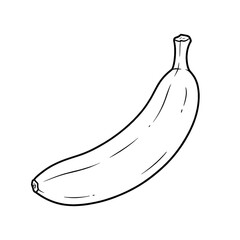 illustration of banana