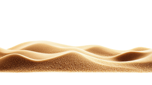 Sand Texture on Transparent Background