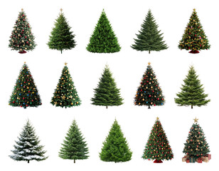 Obraz premium PNG Various decorated Christmas trees, element set on transparent background