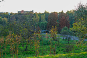 Fototapeta premium autumn landscape with trees, Tineretului Park, Bucharest City, Romania 
