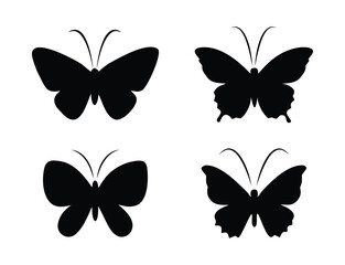 Elegant butterfly illustration with vibrant color palette and classic typography