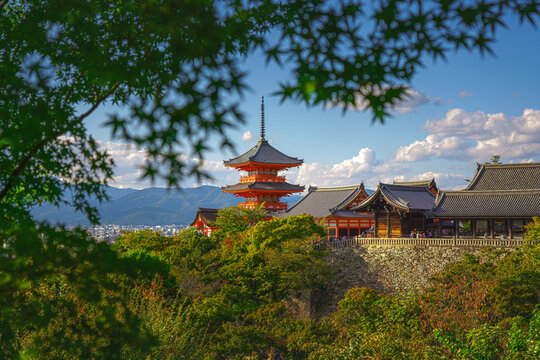 Kyoto, Japan - Oct 11 2024, panoramic view through foliage of Kiyomizu-Dera temple complex with a pagoda, without people, with a clear blue sky and a forest in foreground, at daytime, Kyoto, Japan