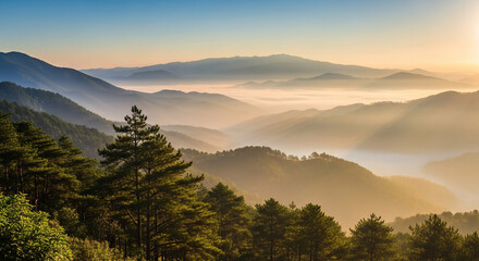 Fototapeta premium Mountain Landscape Misty Valley Sunrise Light Breathtaking Forest Scenery