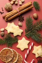 Christmas composition with cookies in shape of stars, spices and fir tree branches on red background, flat lay