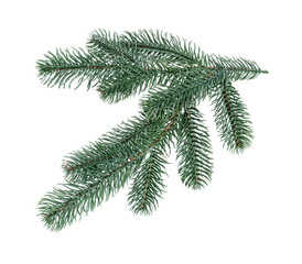 Branch of artificial fir tree isolated on white. Christmas decor