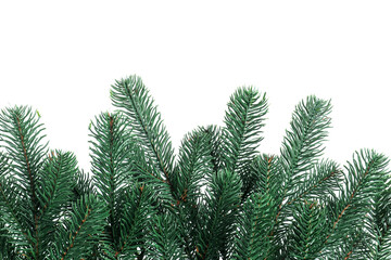 Branch of artificial fir tree isolated on white. Christmas decor